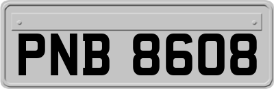 PNB8608