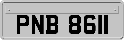PNB8611