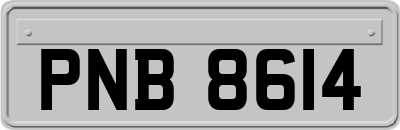 PNB8614