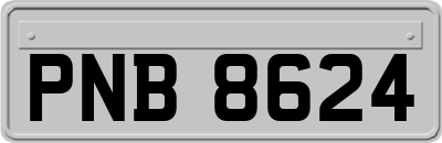 PNB8624
