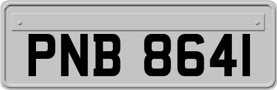 PNB8641