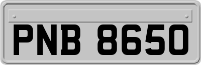 PNB8650
