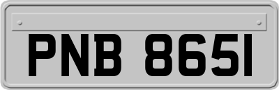 PNB8651