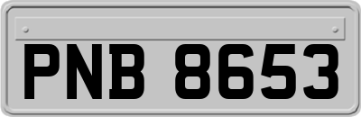 PNB8653
