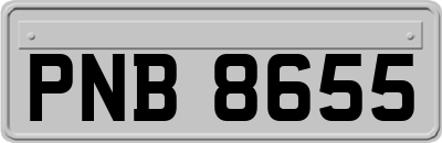 PNB8655