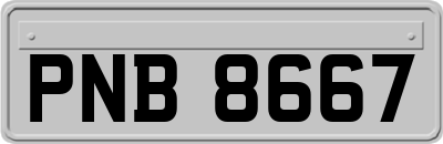 PNB8667