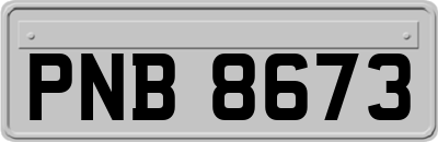 PNB8673