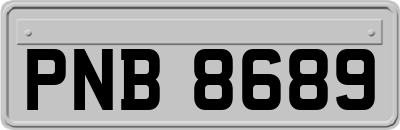PNB8689