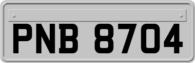 PNB8704