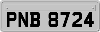 PNB8724
