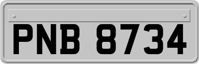 PNB8734