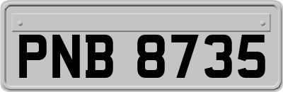 PNB8735
