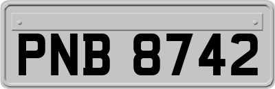 PNB8742