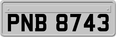 PNB8743