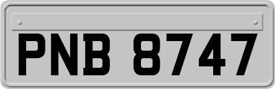 PNB8747