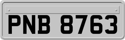 PNB8763