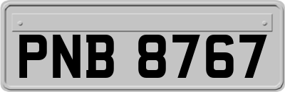 PNB8767
