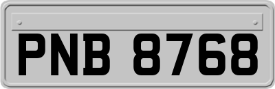 PNB8768