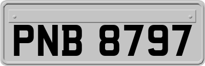 PNB8797