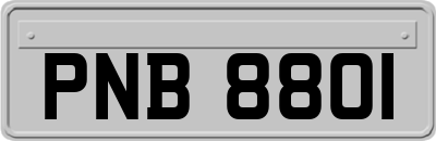 PNB8801