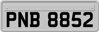 PNB8852