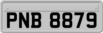 PNB8879