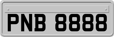 PNB8888