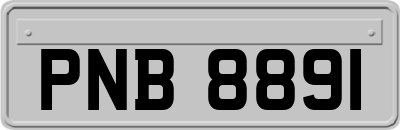 PNB8891