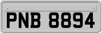 PNB8894