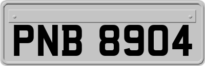 PNB8904
