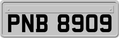 PNB8909