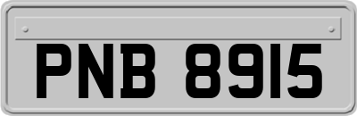 PNB8915