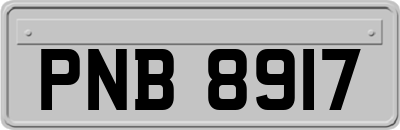 PNB8917