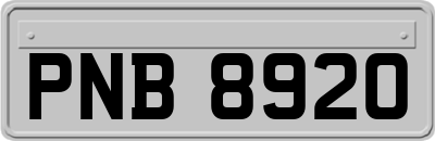 PNB8920
