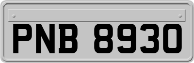 PNB8930