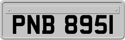PNB8951