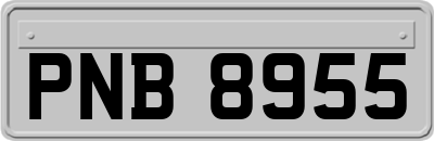 PNB8955