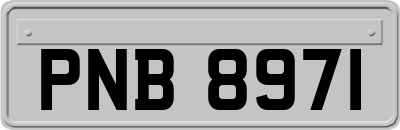 PNB8971