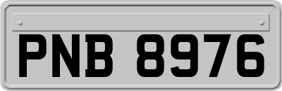 PNB8976