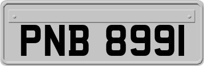 PNB8991