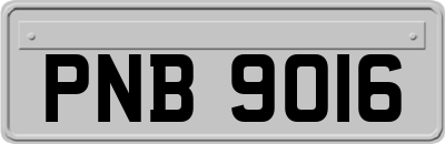 PNB9016