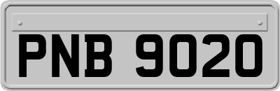 PNB9020