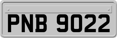 PNB9022