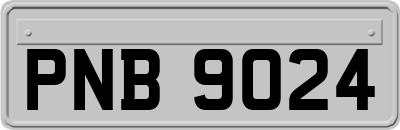 PNB9024