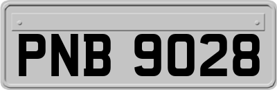 PNB9028