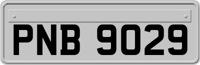 PNB9029