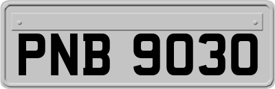 PNB9030