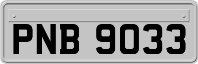 PNB9033