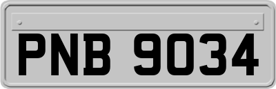 PNB9034