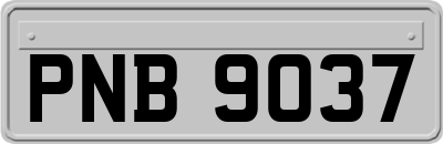 PNB9037